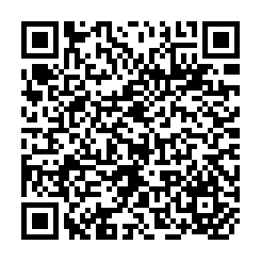 QR Code for The State Of The World's Children 1991