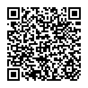 QR Code for International Issues in Agrarian Reform:Past Experiences-Future Prospects