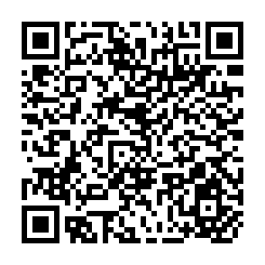 QR Code for Social Forestry in IRD