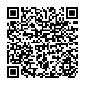 QR Code for Learning From China