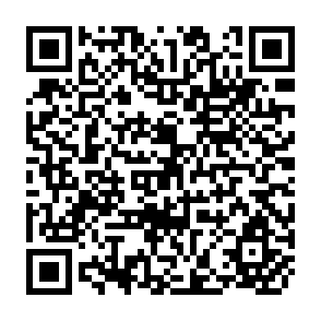 QR Code for Socialism and Private Enterprise in Equatorial Asia:The Case of Malaysia and Indonesia