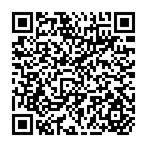 QR Code for Proceedings of the FAO/IRRI Worksop on Judicius and Efficient Use of Insecticies on Rice