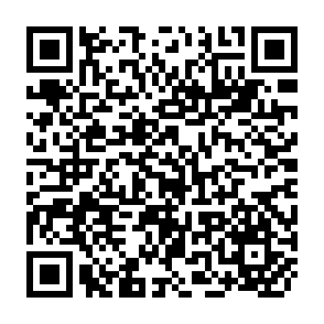 QR Code for Disappeared