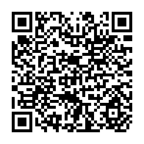 QR Code for REFUGEES: Dynamics of Displacement