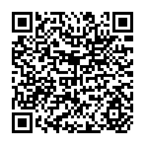 QR Code for External Finance and the Role of Multilateral Finacial Institutions in South Asia: Changing Patterns, Prospects and Challenges