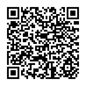 QR Code for Social- Movement Unionism: A New Model for A New World