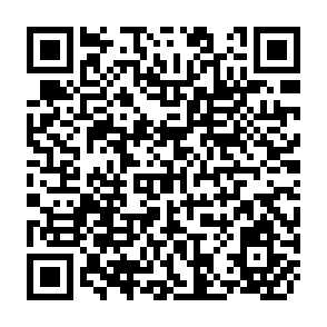 QR Code for Beyond the Informal Sector Labour Absorption in Latin American Urban Economics the Case of Colombia