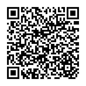 QR Code for The treatment of the NGO sector in the national accounts: Guidelines, empirical evidence, and some related issues