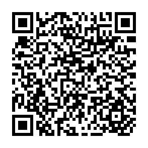 QR Code for Sorghum and Millets Diseases: A Second World Review