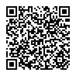 QR Code for Socio- Political Perspectives of Saarc Countries