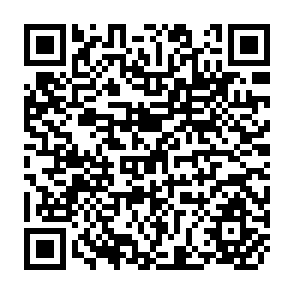 QR Code for Socio-Political Perspectives of Saarc Countries
