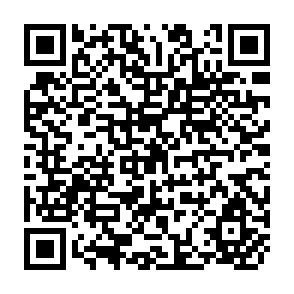 QR Code for International Agricultural Research Issues and Pririties From a Dutch Perspective