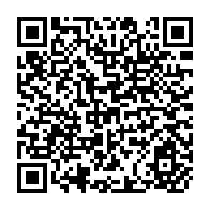 QR Code for Methodologycal Issues in the Study of Development