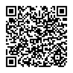 QR Code for Root Trainers in Seedlings Production Systems for Tropical Forestry and Agroforestry