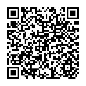 QR Code for World Development Report 1986
