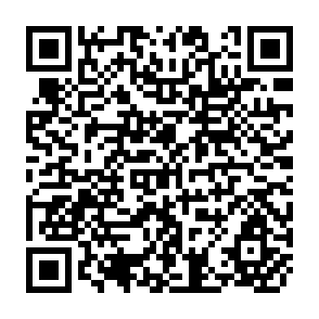QR Code for Lawyers as Social Engineers