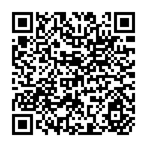 QR Code for The rape of the peasantry