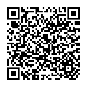 QR Code for The nation-state and violence