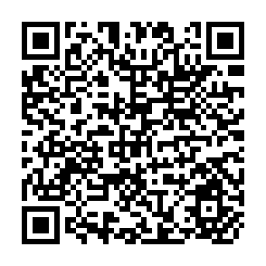 QR Code for State, Village, and Ritual in Bali
