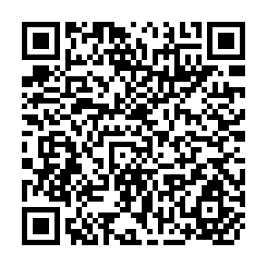 QR Code for The Centrality of Central Asia