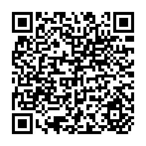 QR Code for Labor in the Rural Household Economy of the Zairian Basin