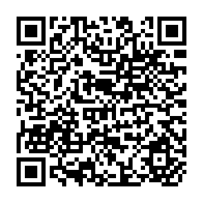 QR Code for The Tapestry Of Culture