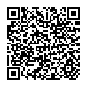 QR Code for The Changing Roles of Multilateral and Bilateral Foreign Assistance