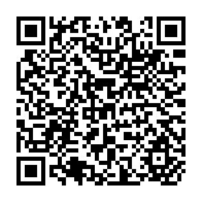 QR Code for Patterns and Determinants of Malnutrition in Children in Pakistan: Impact of Community Health