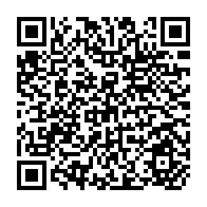 QR Code for Fight for the Forest