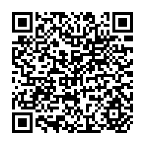 QR Code for Agricultural Growth,its Determinants,and their Relationship to world Development:An Overview