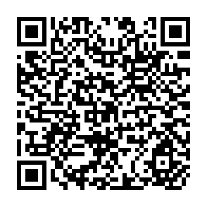 QR Code for The Debt Crisis and Aid a Euphemistic term for Cripping Loans