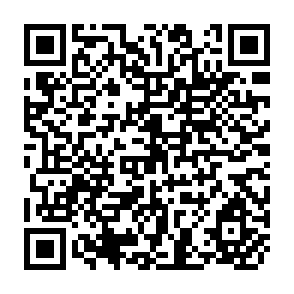 QR Code for Fao Fertilizer Yearbook Annuaire Fao Des Engrais Anuario Fao De Fertilizantes