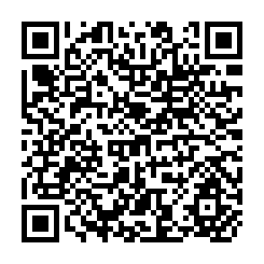 QR Code for Economic Incentives and Comparative Advantage in Indonesian Food Crop Production