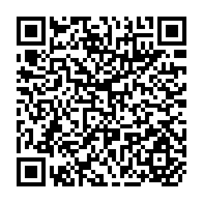 QR Code for Report of The Fourth Regular Regional Course on Preperation and Analysis of Rural Development Projects