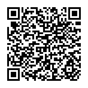 QR Code for Issues and Themes in Growth of Fertilizer Use In India: An Agenda for Further Research and Future Policies