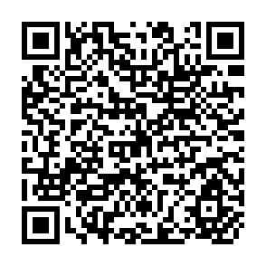 QR Code for Public Sector Employment, Rent Seeking and Economic Growth