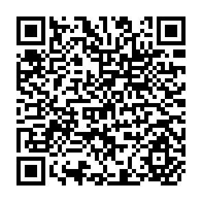 QR Code for Impact of Female Sources of Income on Food Demand Among Rural Households in the Philippine