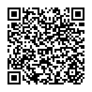 QR Code for Food security and Nutrition 1971-91: Lessons Learned and Future Priorities
