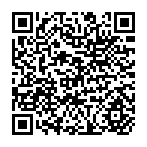 QR Code for Argentina's Recent Economic Reform in the Light of Mundlak's Sectorial Growth Model