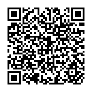 QR Code for Labour-Intensive Public Works for Food Security in Africa : Past Experience and Future Potential