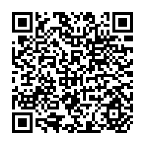 QR Code for Protection and Export Performance in Sub-Saharn Africa