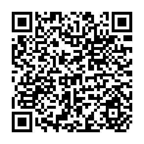QR Code for Income Sources and Diversification Stratergies of the Malnourishes Rural Poor