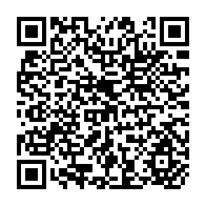 QR Code for Trade Unionism , Wages and Labour Productivity in the Manufacturing Sector of Banglandesh