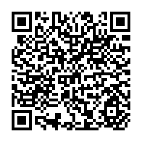 QR Code for Peasant household systems