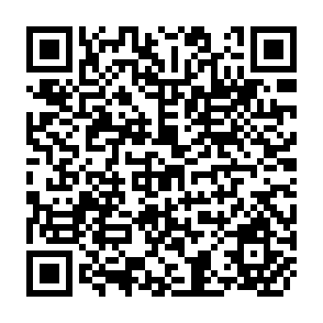 QR Code for Economic Articulation:A Neglected Dimension of Economic Performance ?