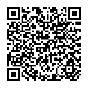 QR Code for Measuring Development? A Statistical Critique of the Undp's Human Development Index