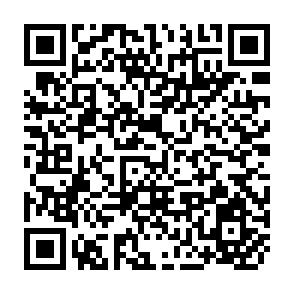 QR Code for Institutional Reform and Grain Markets in Post 1990 Nicaragua The Impact of Structural Adjustment