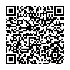 QR Code for FAO/SIDA Expert Consultation on Policies and Institutions for Integrated Rural Development