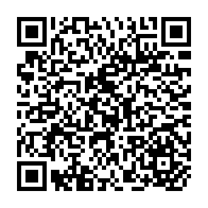 QR Code for The role of NGOs in changing state-society relations:perspectives from Eastern and Southern Africa