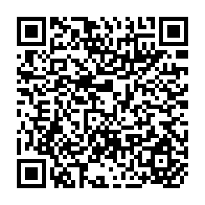 QR Code for Rural Development in South Asia: Fragments of Analysis